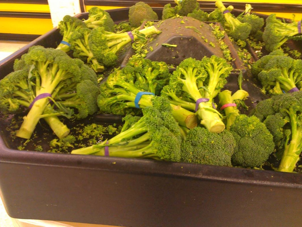 broccoli no frills